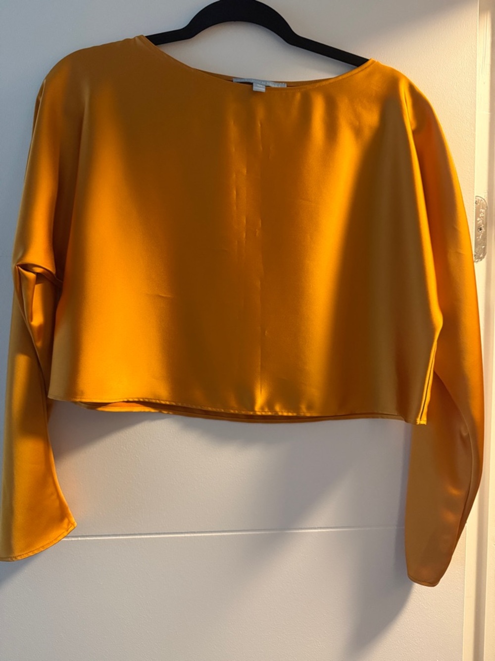 ANTONIO MELANI Mustard Satin Long-Sleeve Crop Top